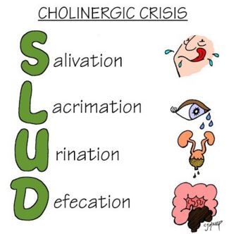 symptoms of cholinergic crisis