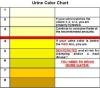 Cloudy Urine chart